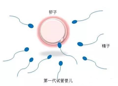 本院简介